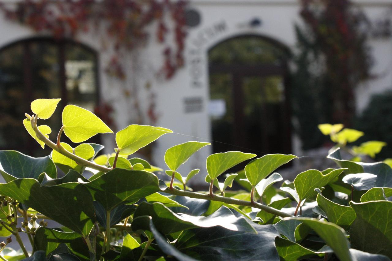 The Zen Hotel - Posticum Oradea Extérieur photo